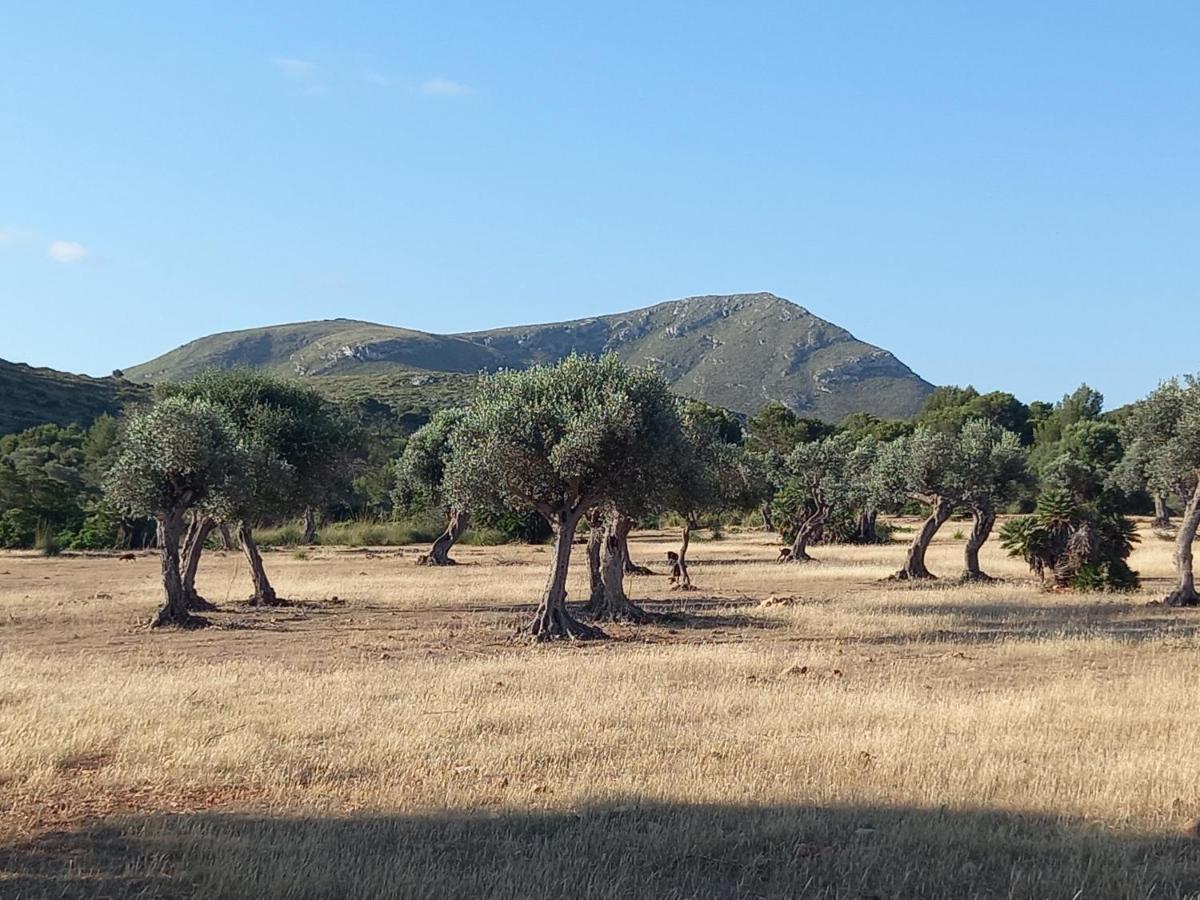 El Nido De Betlem Leilighet Colònia de Sant Pere Eksteriør bilde